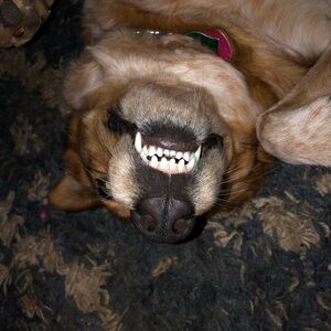 Meet your Posher, Arthur